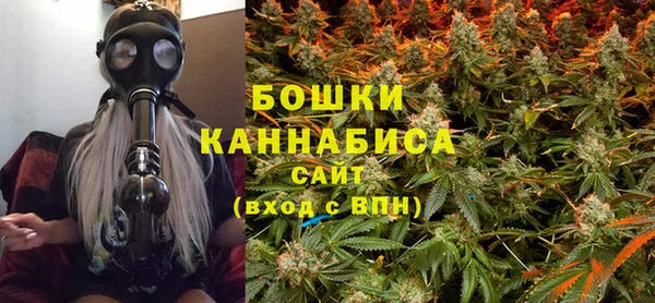 дживик Белая Холуница