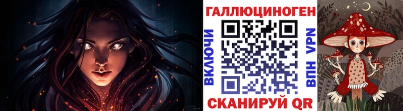 наркота Щёлкино Псилоцибиновые грибы Psilocybe